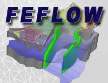 Feflow